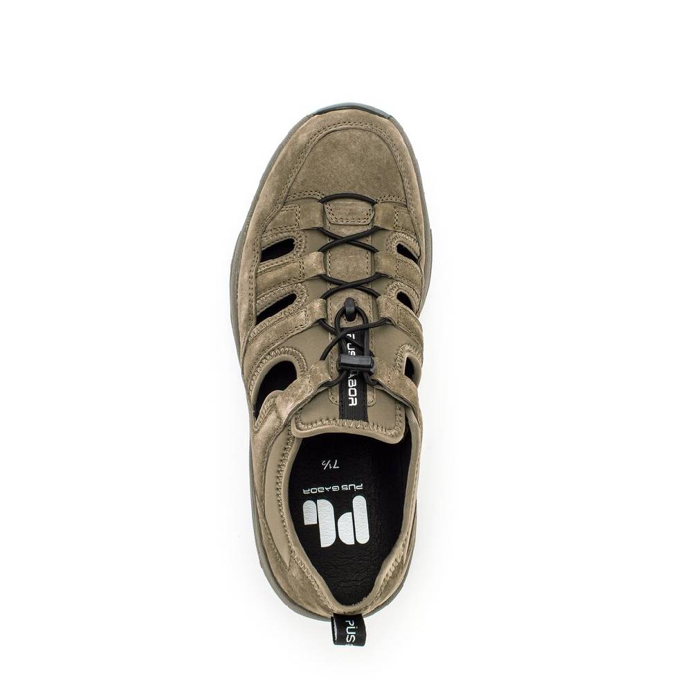 Pius Gabor Pius Gabor Sneaker low beige Online