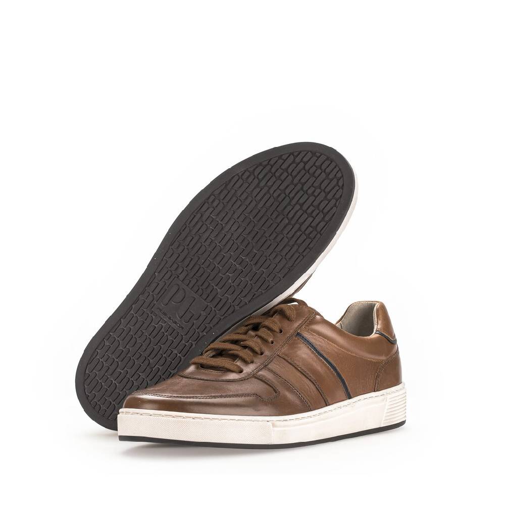Pius Gabor Pius Gabor Sneaker low braun Angebote