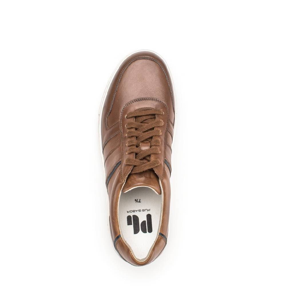 Pius Gabor Pius Gabor Sneaker low braun Angebote