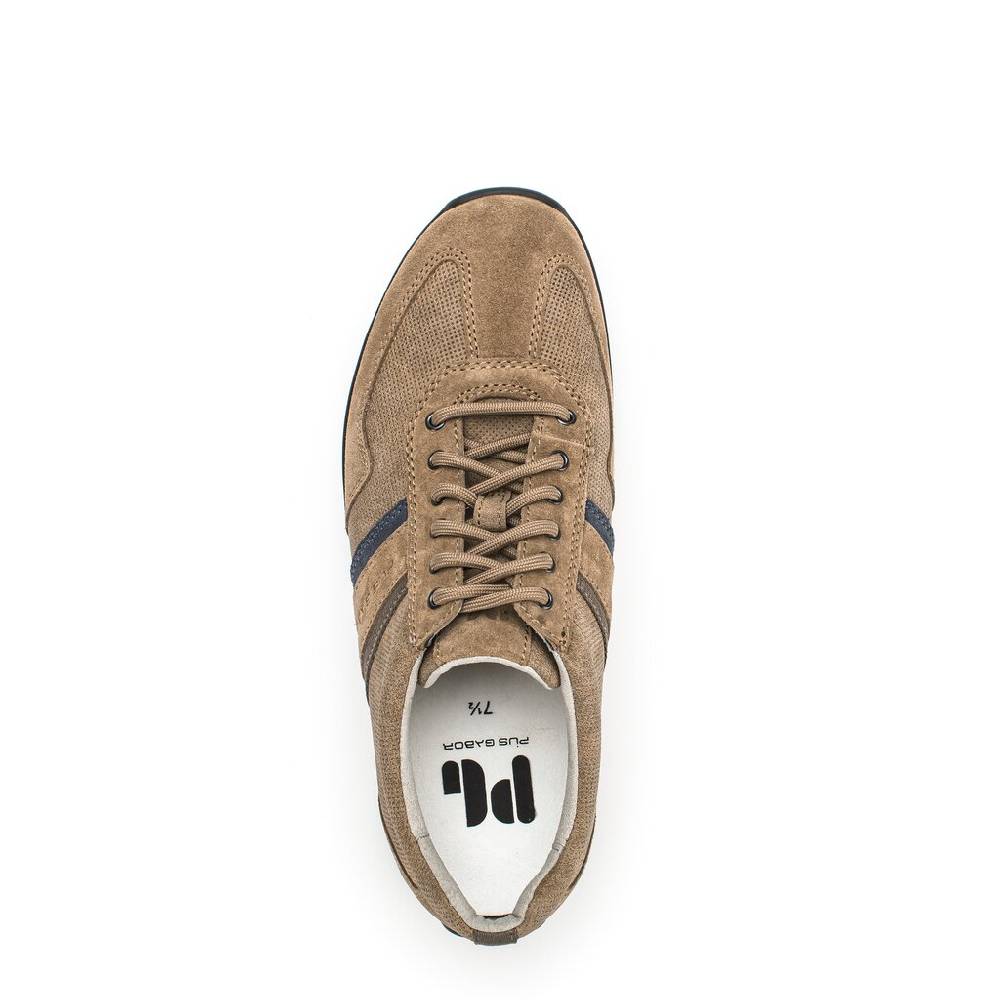 Pius Gabor Pius Gabor Sneaker low beige Hotsell