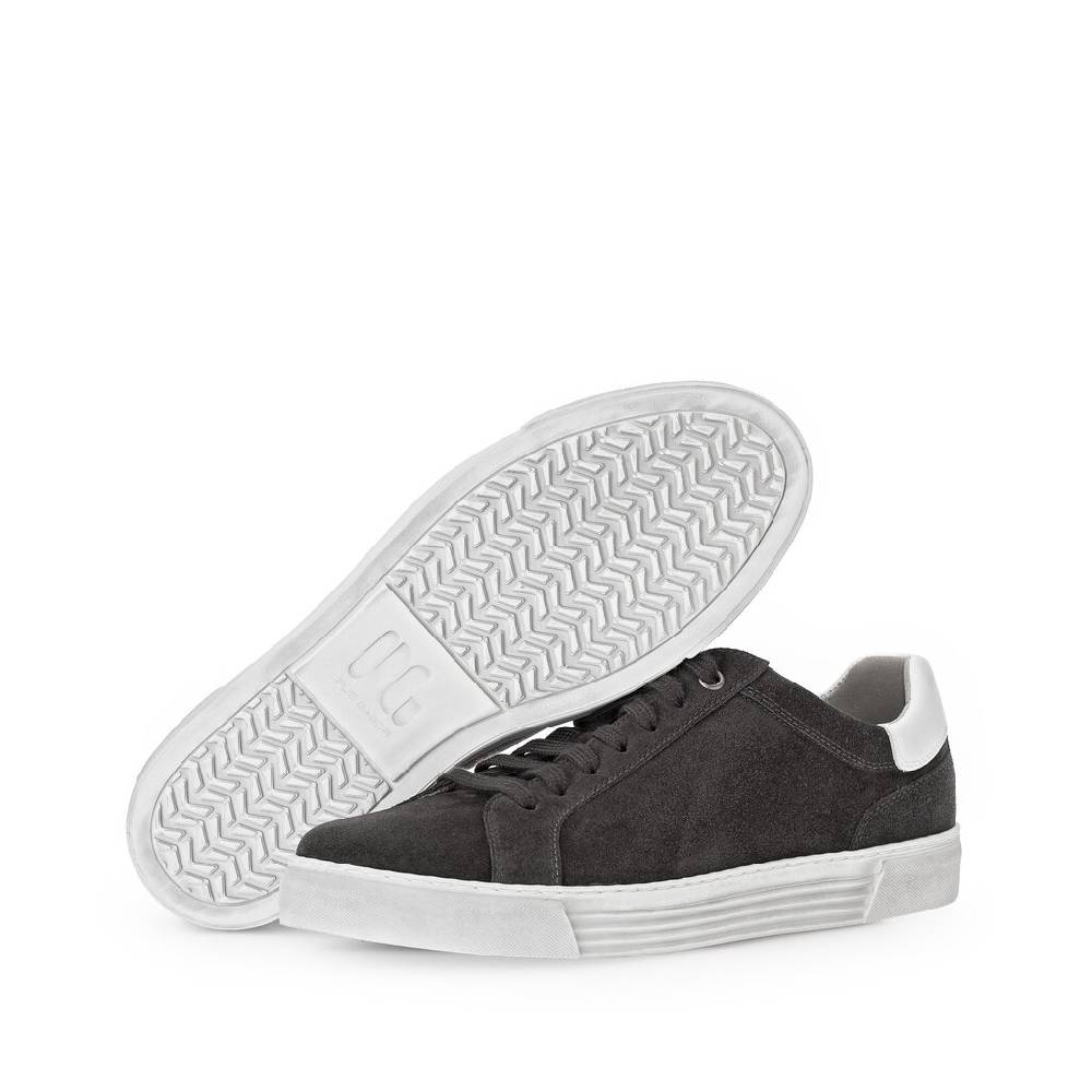 Pius Gabor Pius Gabor Sneaker low grau Discount Store für neue Produkte