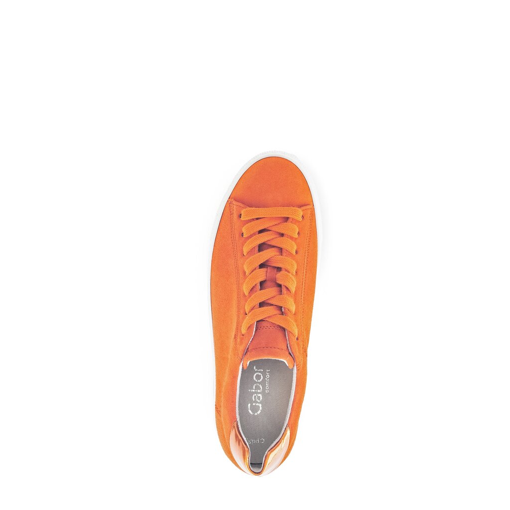 Pius Gabor Sneaker low orange Neueste Stile