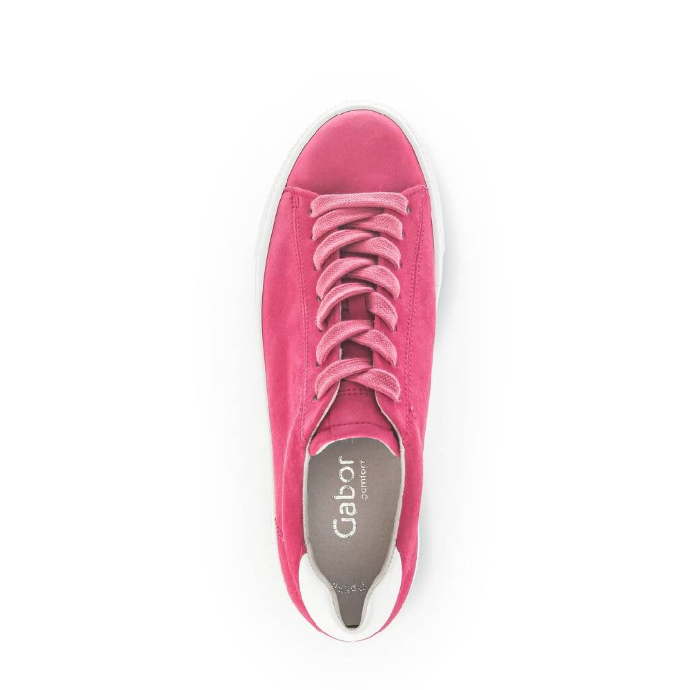 Pius Gabor Sneaker low pink Letzter Tag