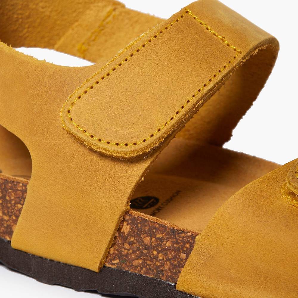 Plakton Partner Ocre Apure Riesige Rabatte