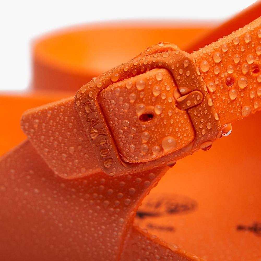 Plakton Wendy Orange Neuheiten
