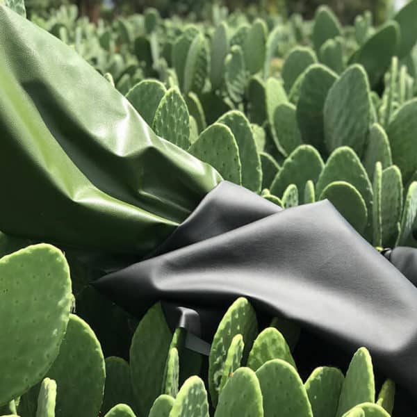 Pololo Veganer Kaktus Sneaker Grün Maxi 24-34 Tiefpreis