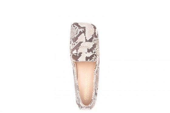Riccardo Cartillone Antonio Barbato MJ998 roccia Osterangebot