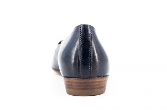 Riccardo Cartillone La bottega di Lisa 001/C blau Super Sparpreis