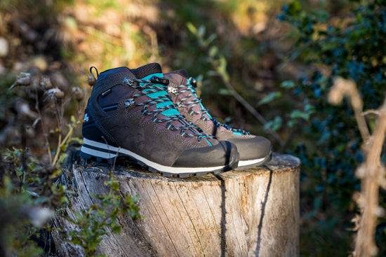 Schuhwerk Schwangau Hanwag Makra Light Lady GTX Super Rabatt
