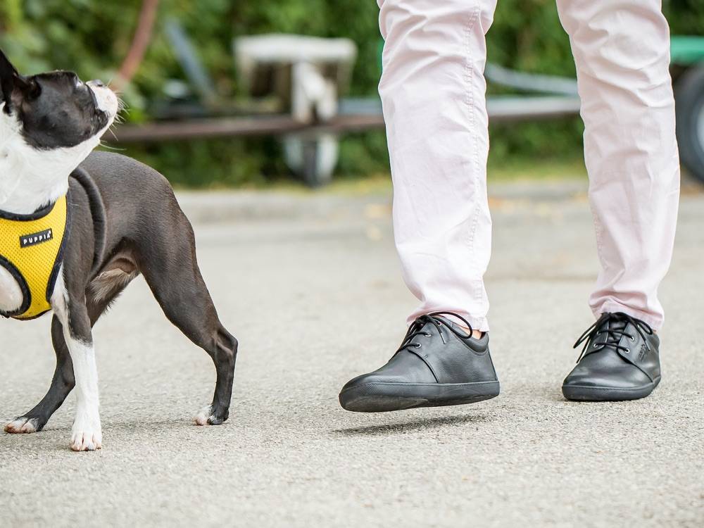 Sole Runner Pflegehinweise für SOLE RUNNER® Barfußschuhe 50% Rabatt mit kostenlosem Versand