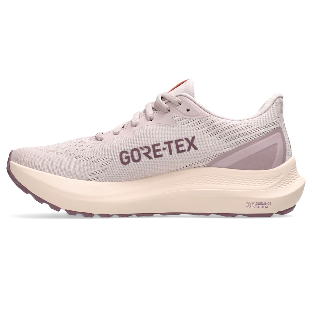 Asics Laufschuh »GT-2000 12 Gore-Tex« für mehr Stabilität wasserdicht auf Rechnung Versandkostenfrei